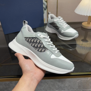 Dior B25 Grey