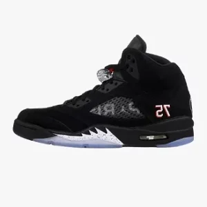 Air jordan 5 germanic black paris silver