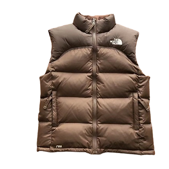 TNF Women Gilet beige brown