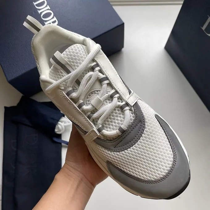 Dior B22 white grey