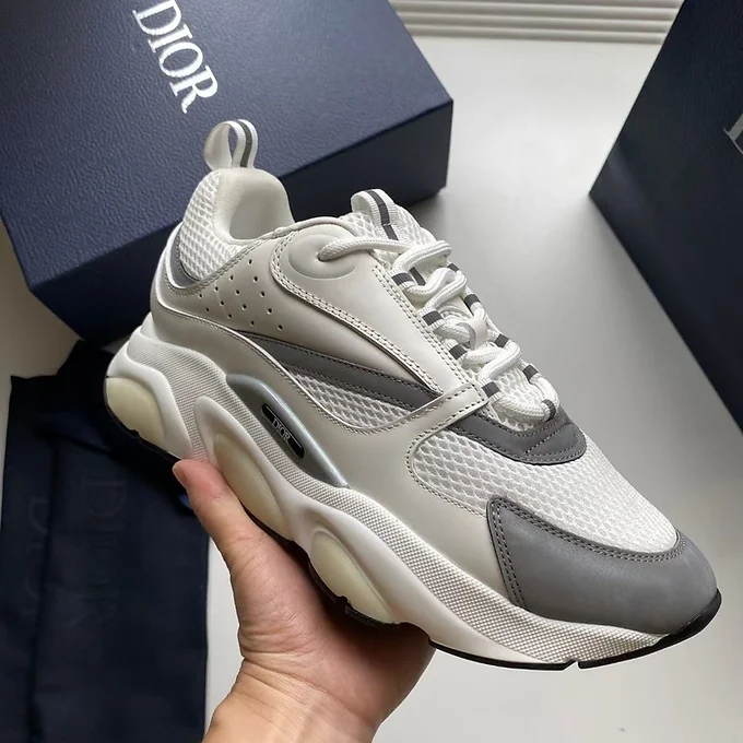 Dior B22 white grey