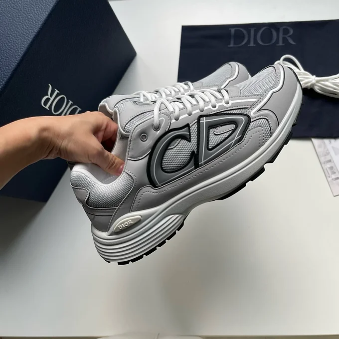 Dior B30 Grey