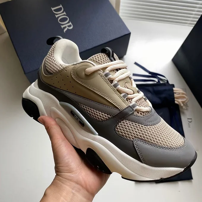 Dior B22 Beige Grey