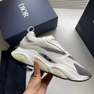 Dior B22 white grey