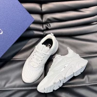 Dior B22 Grey