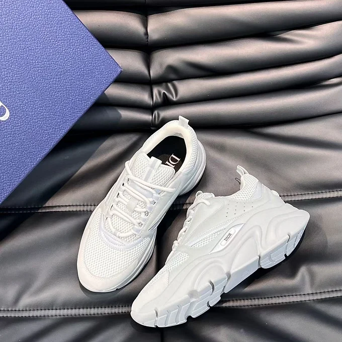 Dior B22 Grey