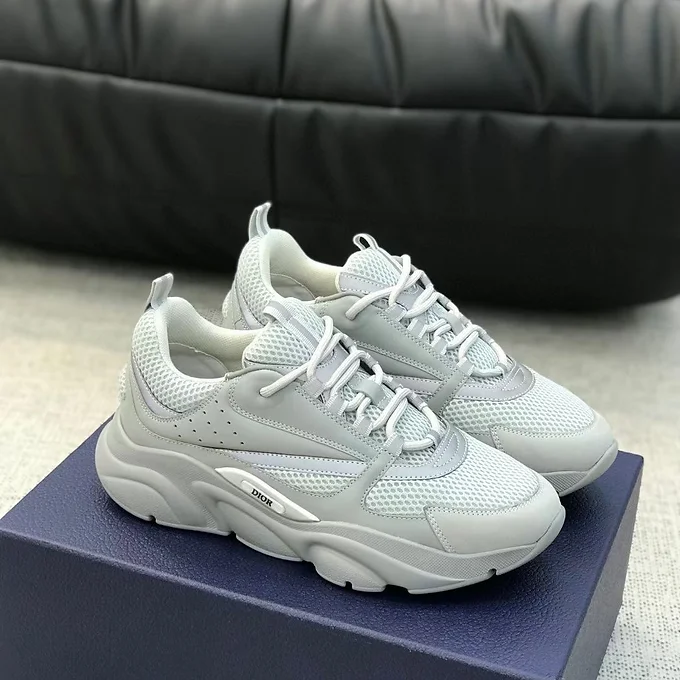 Dior B22 Grey
