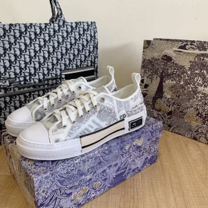 Dior B23 Low Money