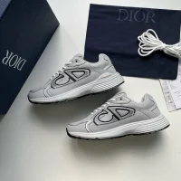 Dior B30 Grey