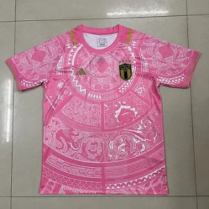 Soccer Jersey Italy Special Pink