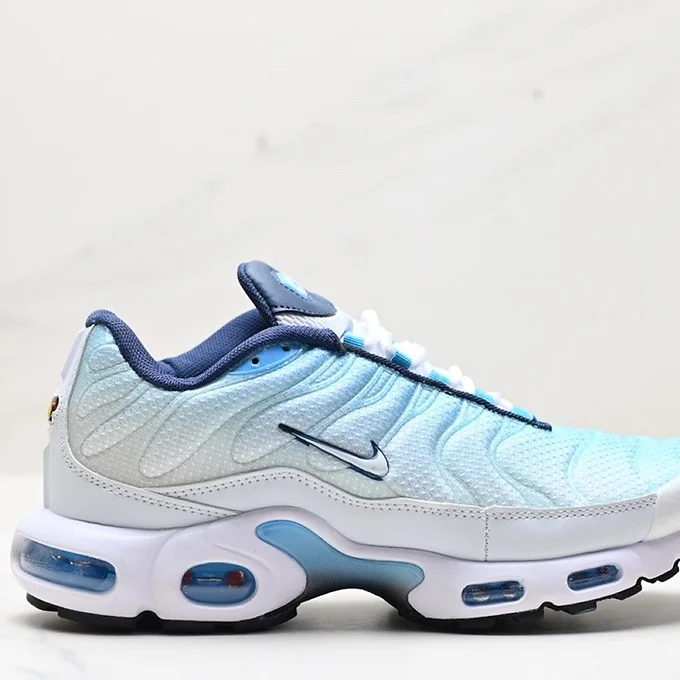 Nike Tns White / Blue