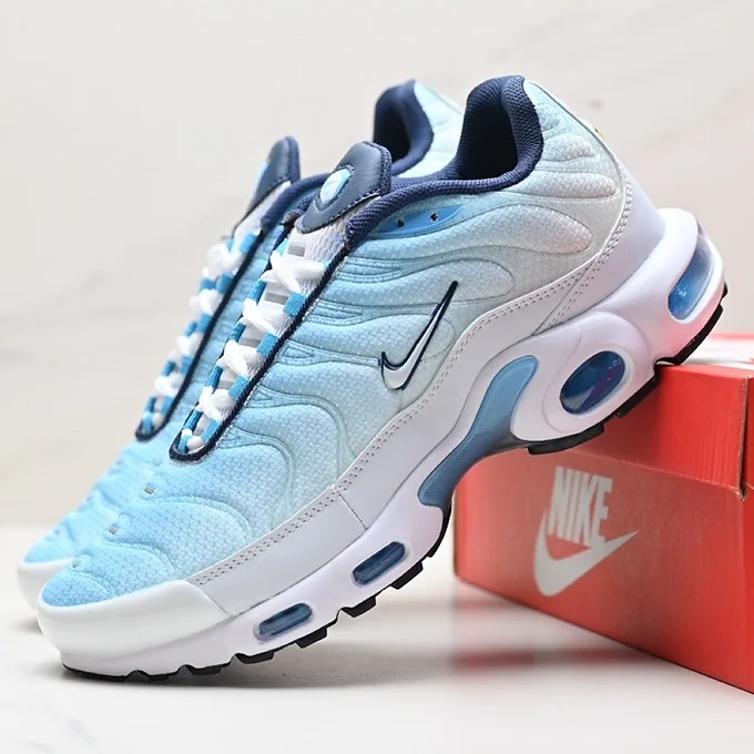 Nike Tns White / Blue
