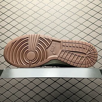 Nike dunks brown