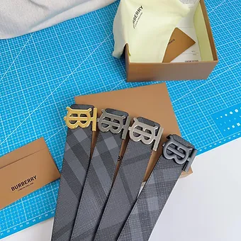 Burberry Belt