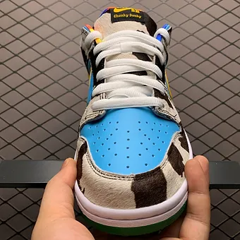 Ben Jerry’s x Nike SB Dunk Low