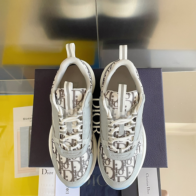Dior B22 oblique grey