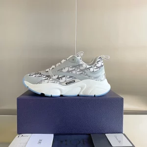 Dior B22 oblique grey