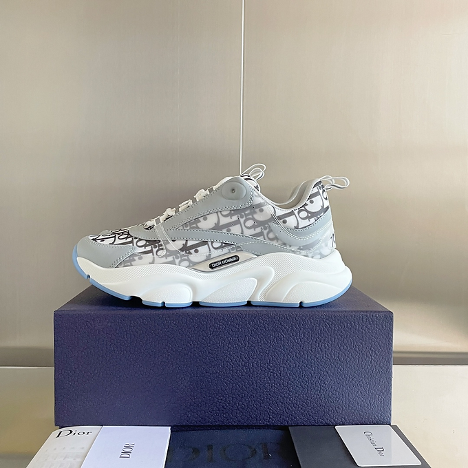 Dior B22 oblique grey
