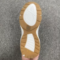 Dior B30 reflective cream