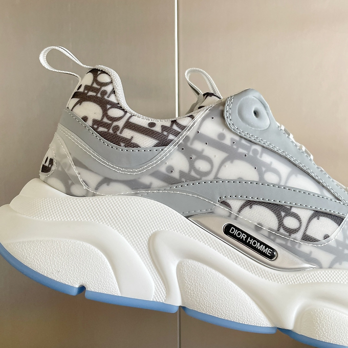 Dior B22 oblique grey