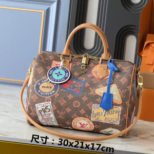 LV Bag "Travel" Brown