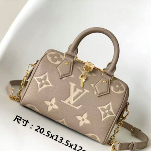 LV Bag Grey Brown Creme Big Logo