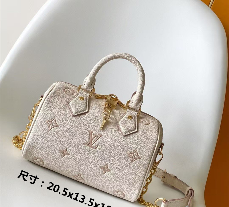 LV Bag Grey White Creme Gold